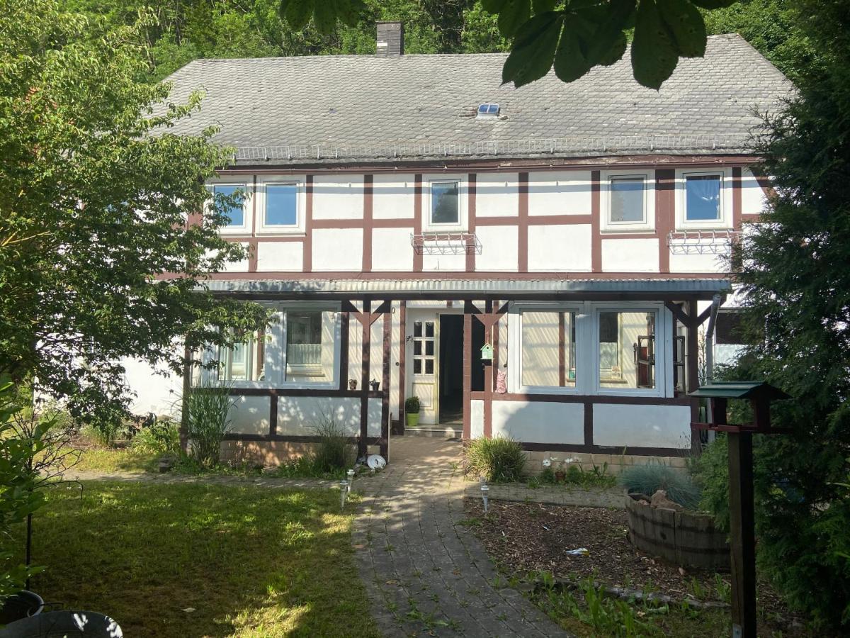 Zeitreise- Haus Mit 5 Schlafzimmern Diemelsee Exterior photo